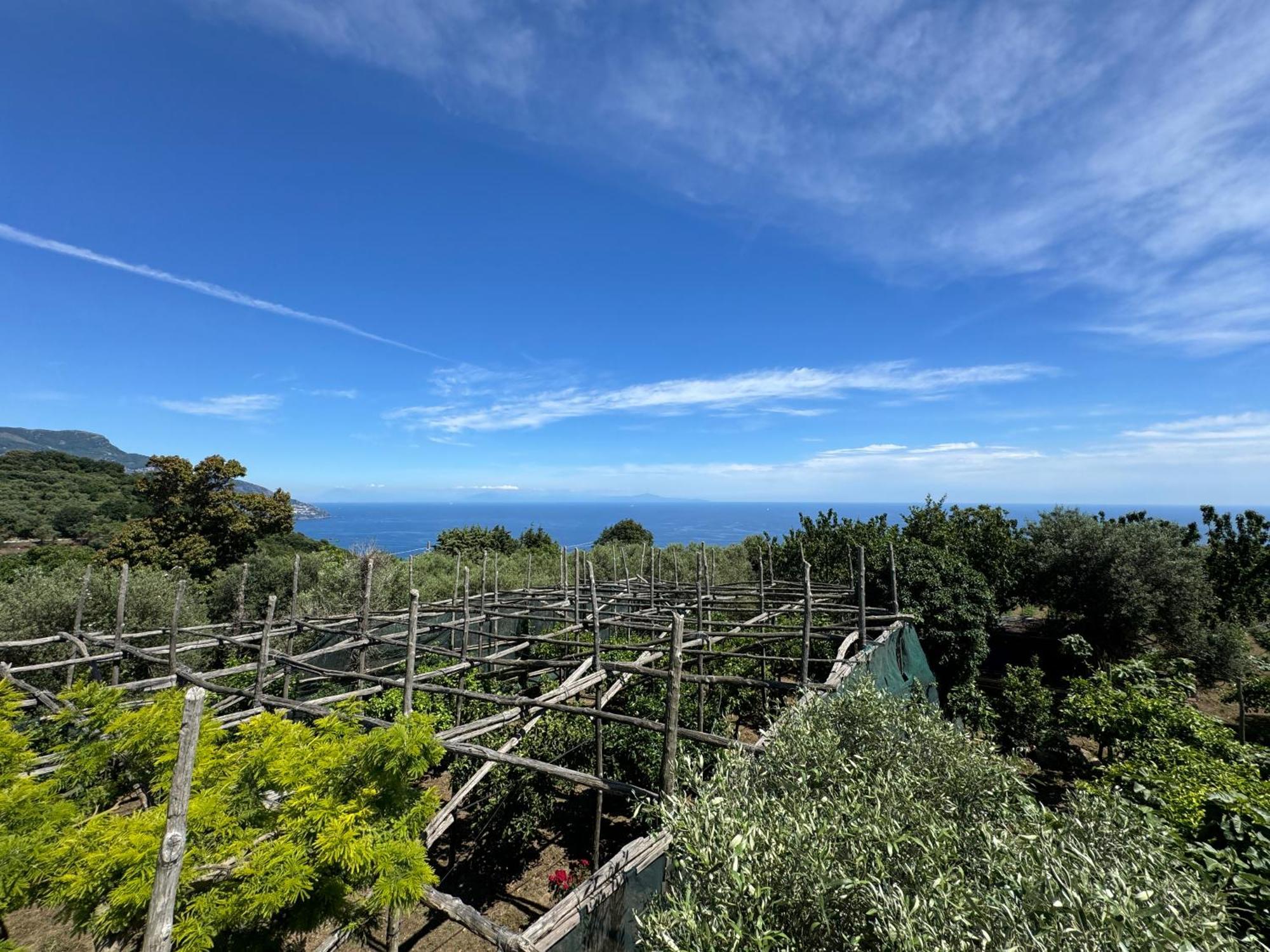 Agriturismo Piccolo Paradiso Пьяно-ди-Сорренто Экстерьер фото