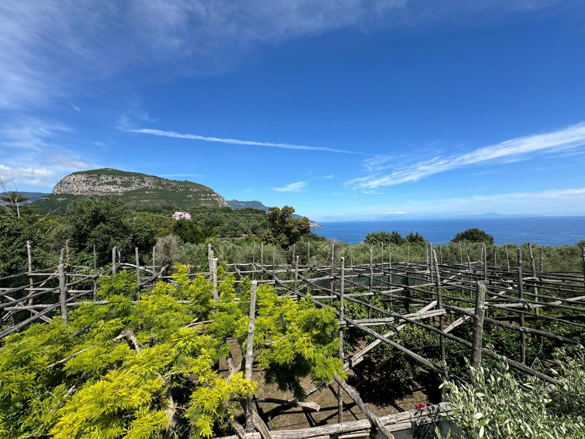 Agriturismo Piccolo Paradiso Пьяно-ди-Сорренто Экстерьер фото