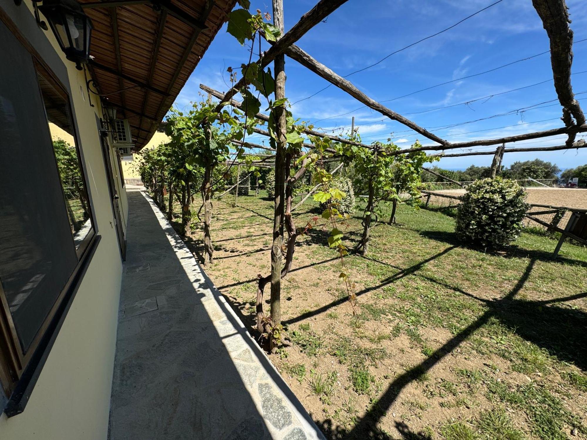 Agriturismo Piccolo Paradiso Пьяно-ди-Сорренто Экстерьер фото