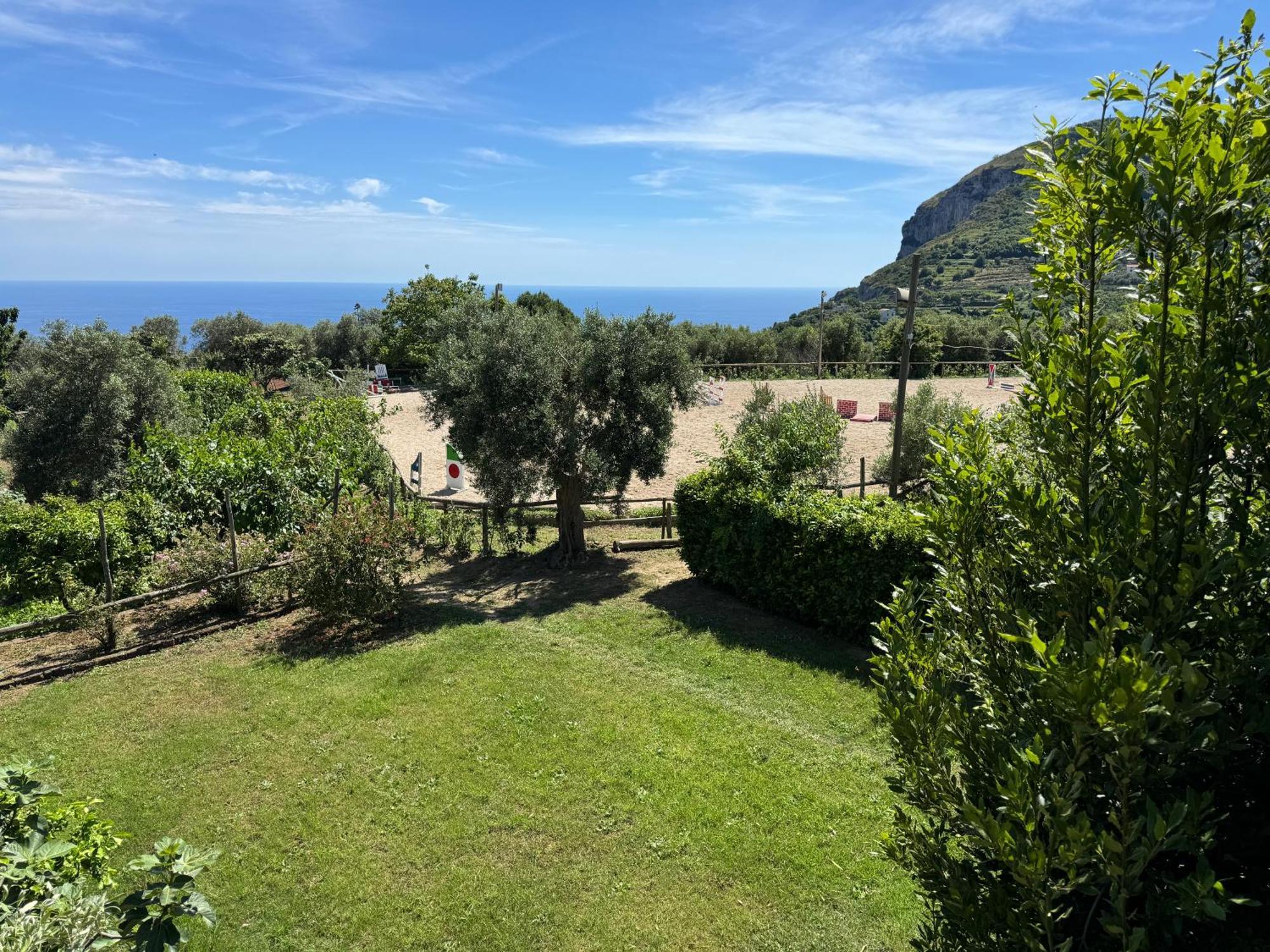 Agriturismo Piccolo Paradiso Пьяно-ди-Сорренто Экстерьер фото