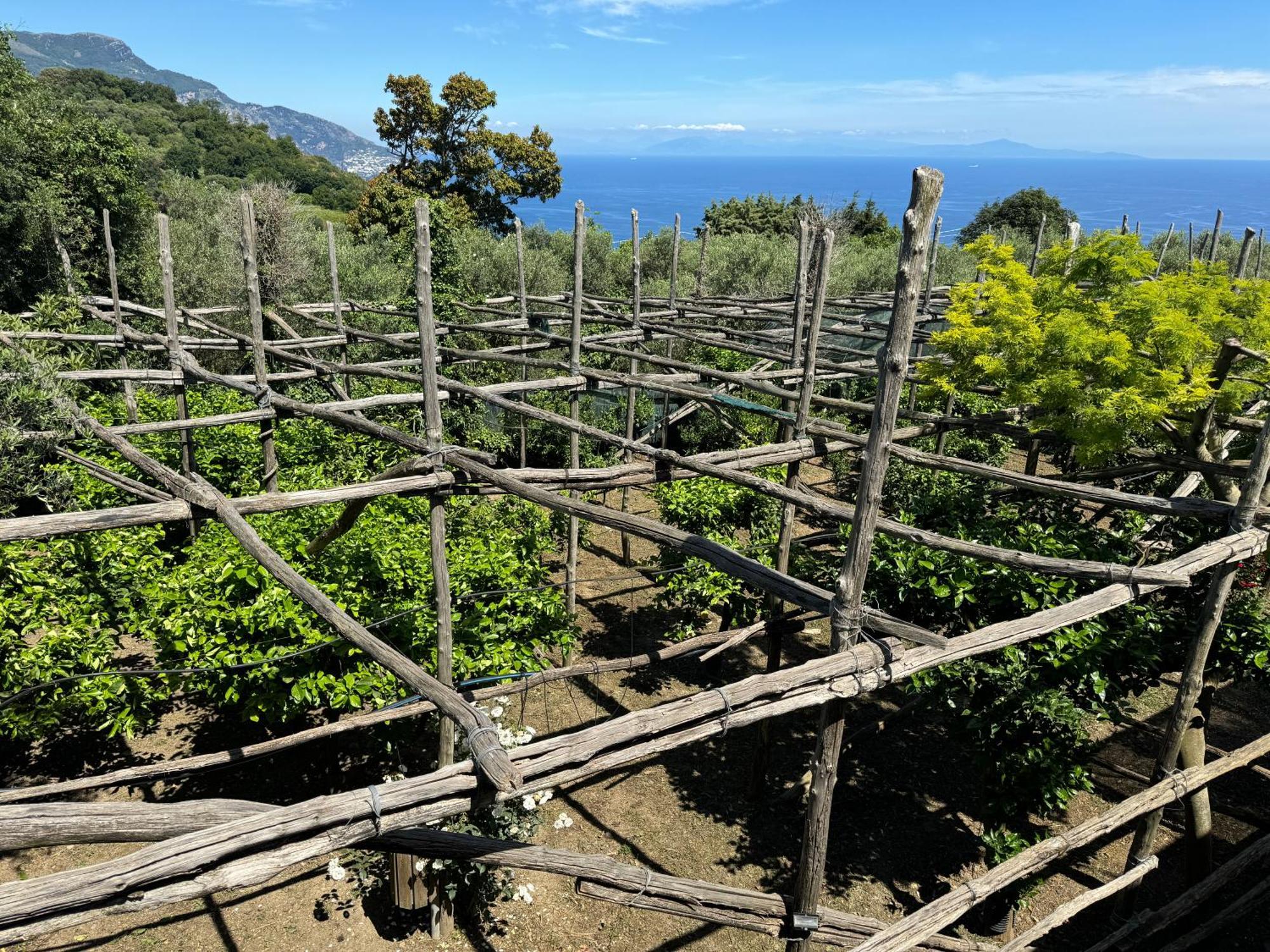 Agriturismo Piccolo Paradiso Пьяно-ди-Сорренто Экстерьер фото