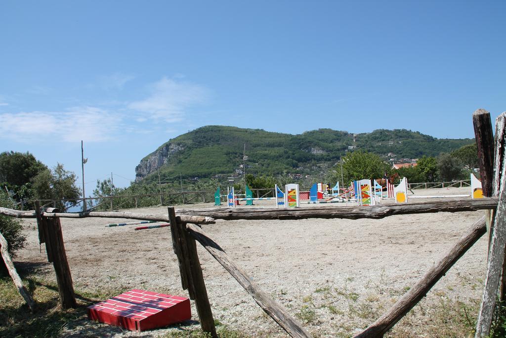 Agriturismo Piccolo Paradiso Пьяно-ди-Сорренто Экстерьер фото