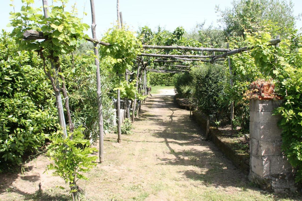 Agriturismo Piccolo Paradiso Пьяно-ди-Сорренто Экстерьер фото